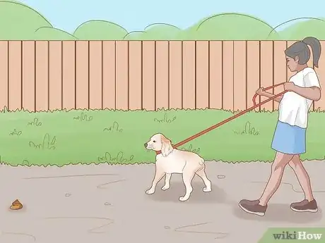 Image titled Stop a Dog from Eating Poop with Pineapple Step 7