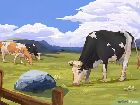 Image titled Understand Bovine Behaviour Step 2