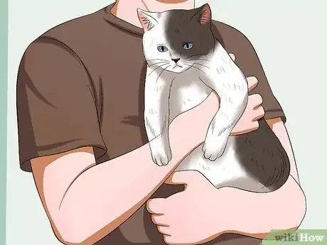 Image titled Carry a Cat Step 13