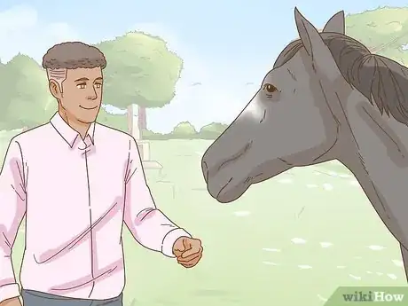 Image titled Calm Your Horse Down Quickly Step 5