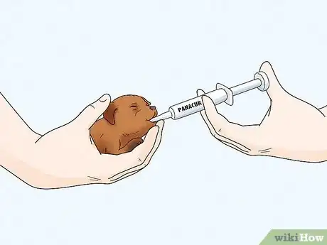 Image titled Care for Newborn Puppies Step 41