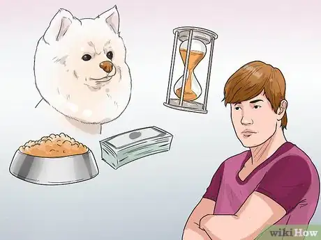 Image titled Buy a Pomeranian Step 1