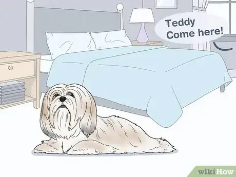 Image titled Identify a Lhasa Apso Step 11