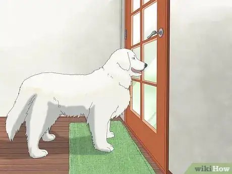 Image titled Calm a Male Dog when a Female Is in Heat Step 1