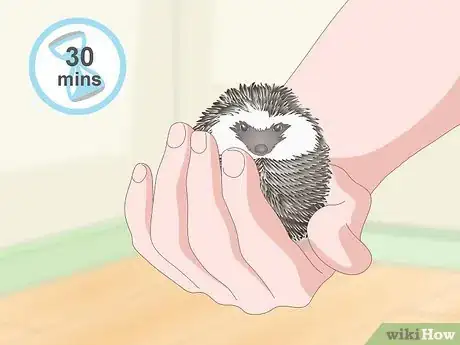 Image titled Carry a Hedgehog Step 17