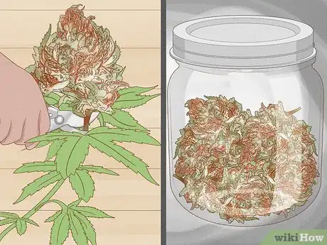 Image titled Make Marijuana Smell Stronger Step 10