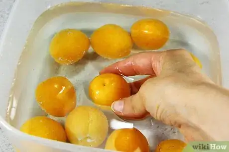 Image titled Freeze Apricots Step 2