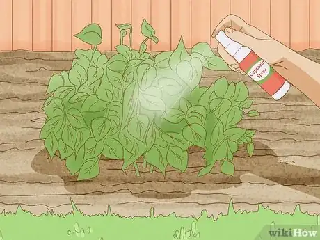 Image titled Protect Plants from Animals Step 1