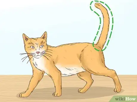 Image titled Know if a Cat Is a Stray Step 4