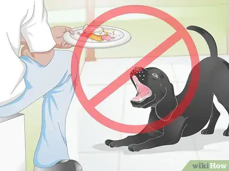 Image titled Create a Feeding Routine for Your Dog Step 12