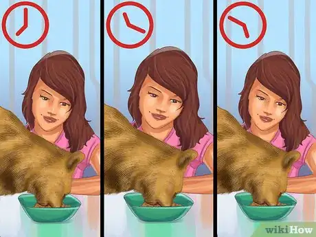 Image titled Feed Different Diets to Multiple Cats Step 11