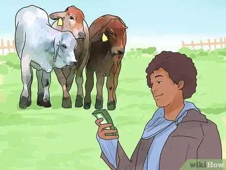 Image titled Raise Cattle Step 1