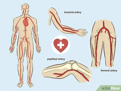 Image titled Heal Cuts Quickly (Using Easy, Natural Items) Step 17