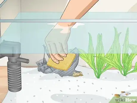 Image titled Clean a Planted Fish Tank Step 8