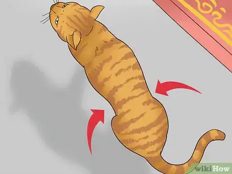 Image titled Assess Your Cat's Weight Step 3