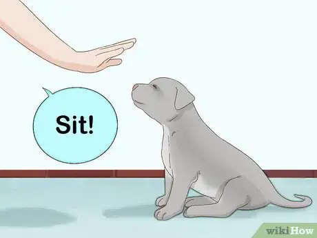 Image titled Take Care of a Pitbull Puppy Step 2