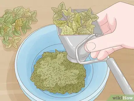 Image titled Harvest Catnip Step 10