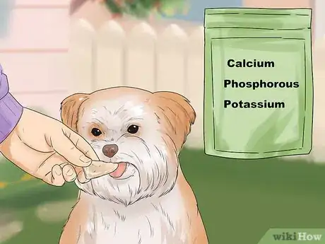 Image titled Feed Your Shih Tzu Step 13