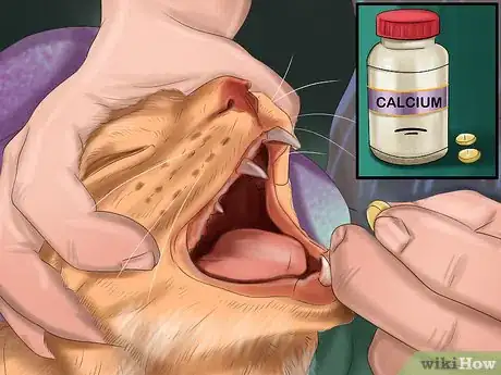 Image titled Feed Your Cat Natural Foods Step 11