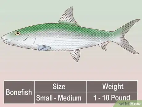 Image titled Create a Setup for Inshore Fishing Step 34