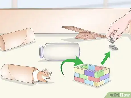 Image titled Teach a Hamster Tricks Step 15