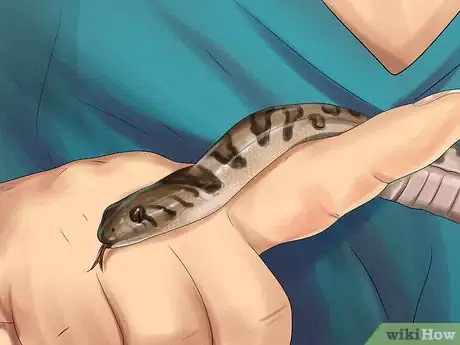 Image titled Get a Pet Snake Step 17