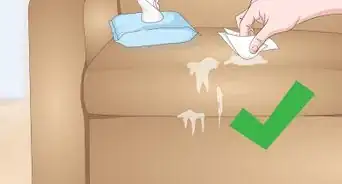 Remove Dog Saliva Stains