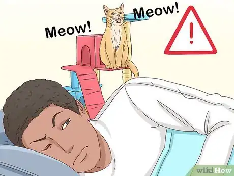 Image titled Get Your Cat to Sleep With You Step 10