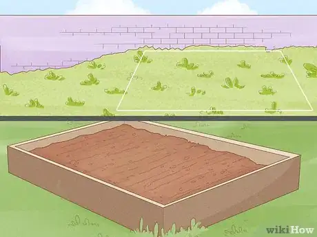 Image titled Grow Kale Step 2