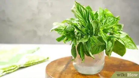 Image titled Make Basil Oil Step 10