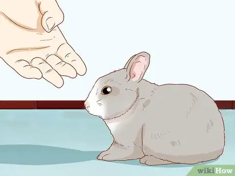 Image titled Handle Rabbits Step 12