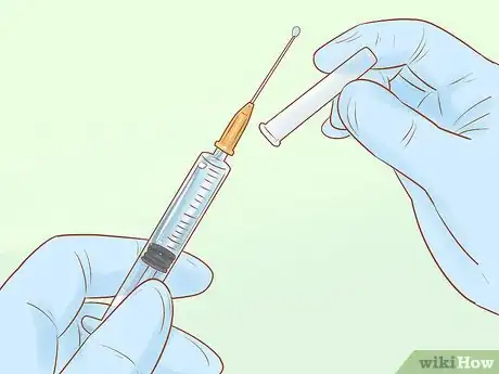 Image titled Administer Insulin to a Cat Step 11