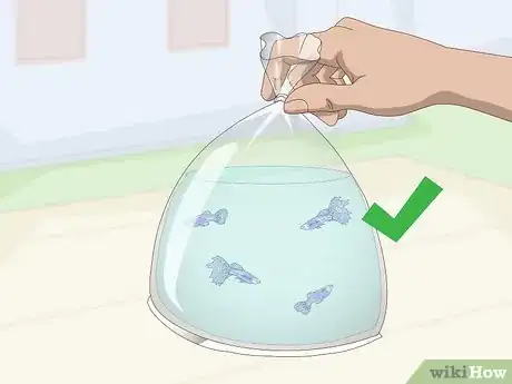 Image titled Keep and Breed Fancy Guppies Step 1