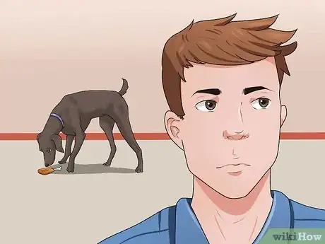 Image titled Get Your Dog to Swallow a Pill Step 10