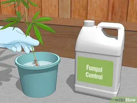 Image titled Plant Clones Step 2