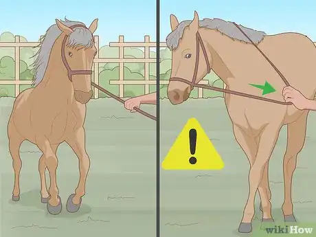 Image titled Know if Your Horse Is Sick Step 9