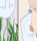 Make a Bottle Watering Can