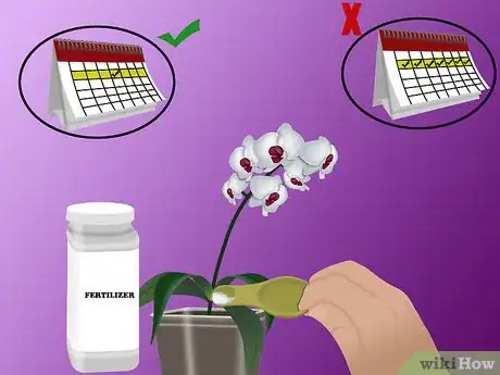 Image titled Grow Orchids Step 12