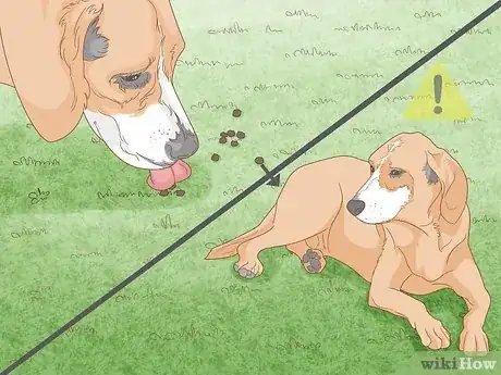 Image titled Get Dogs to Not Eat Rabbit Poop Step 2