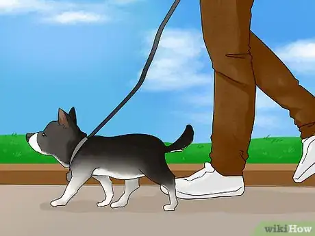 Image titled Get a Dog to Listen Step 9