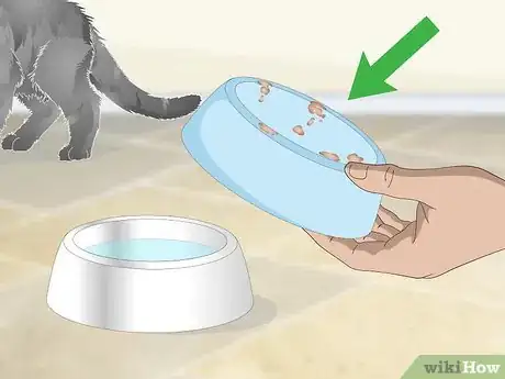 Image titled Help a Vomiting Cat Step 1