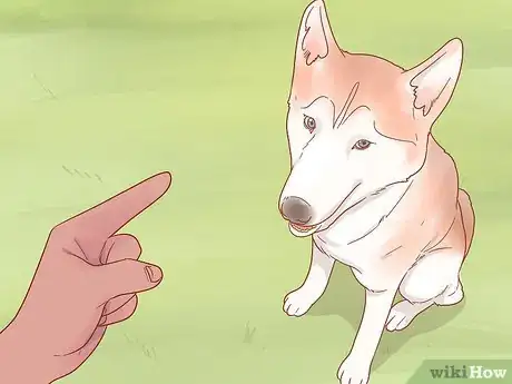 Image titled Get a Dog to Stop Whining Step 12