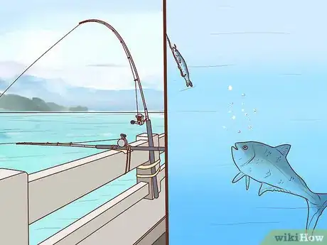 Image titled Catch Kingfish Step 12