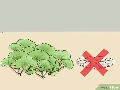 Image titled Take Ginkgo Biloba Step 11