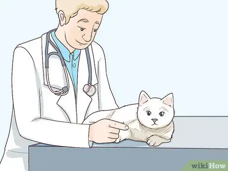 Image titled Deal with a Paralyzed Cat Step 13