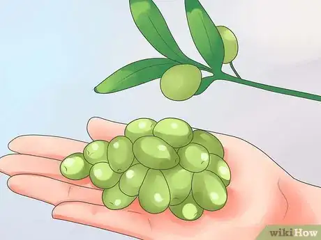 Image titled Cure Olives Step 10