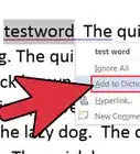 Add a Word to the Dictionary in Microsoft Word