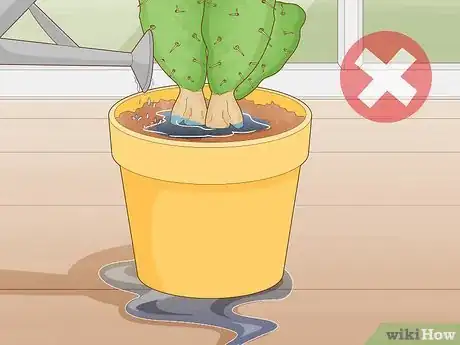 Image titled Get Rid of Cactus Bugs Step 9