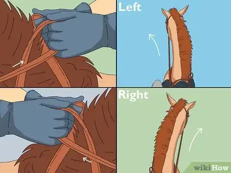 Image titled Make a Horse Move Forward Step 12