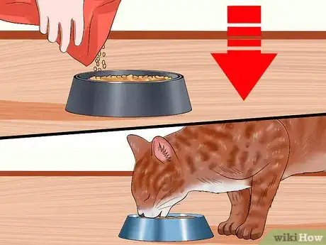 Image titled Ensure That Your Cat Finishes Its Food Step 8